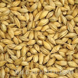 Bulk Grain Bairds Heavy Peated Malt 25kg