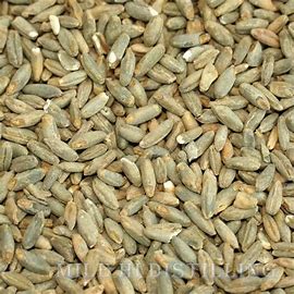 Bulk Grain Rye Malt 25kg