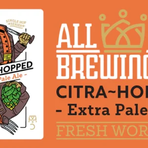 All Inn Citra XPA 15l